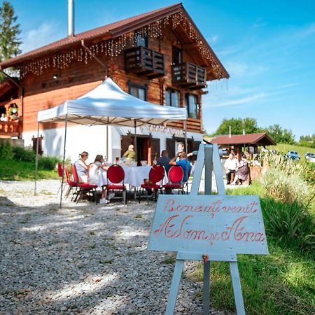 Săcel Tulean Cabin المظهر الخارجي الصورة
