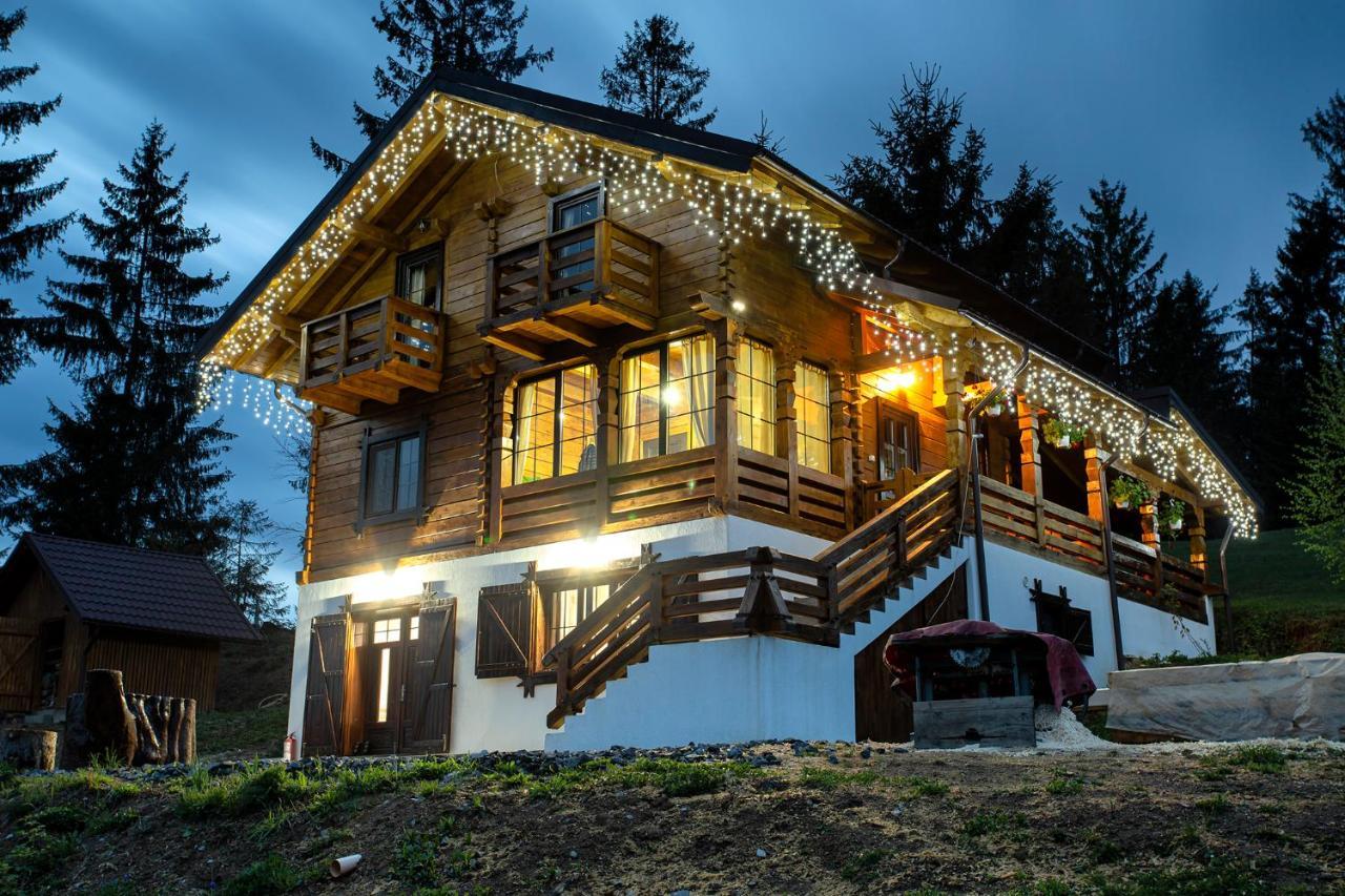 Săcel Tulean Cabin المظهر الخارجي الصورة