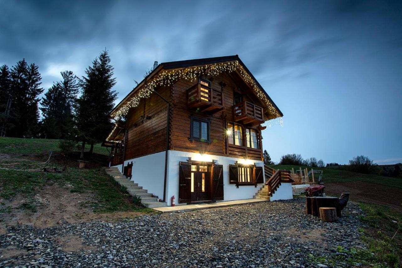 Săcel Tulean Cabin المظهر الخارجي الصورة