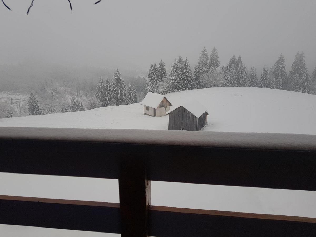 Săcel Tulean Cabin المظهر الخارجي الصورة