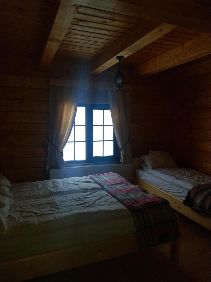 Săcel Tulean Cabin المظهر الخارجي الصورة