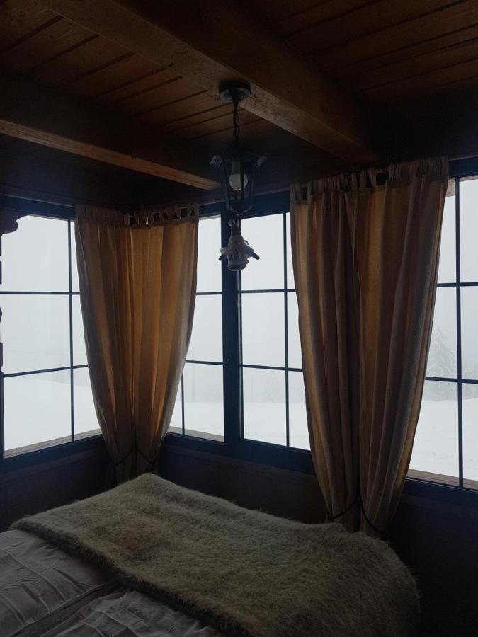 Săcel Tulean Cabin المظهر الخارجي الصورة