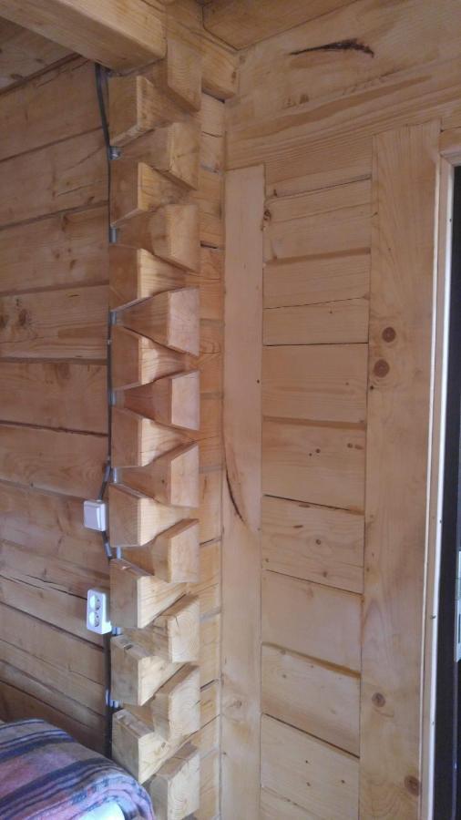 Săcel Tulean Cabin المظهر الخارجي الصورة