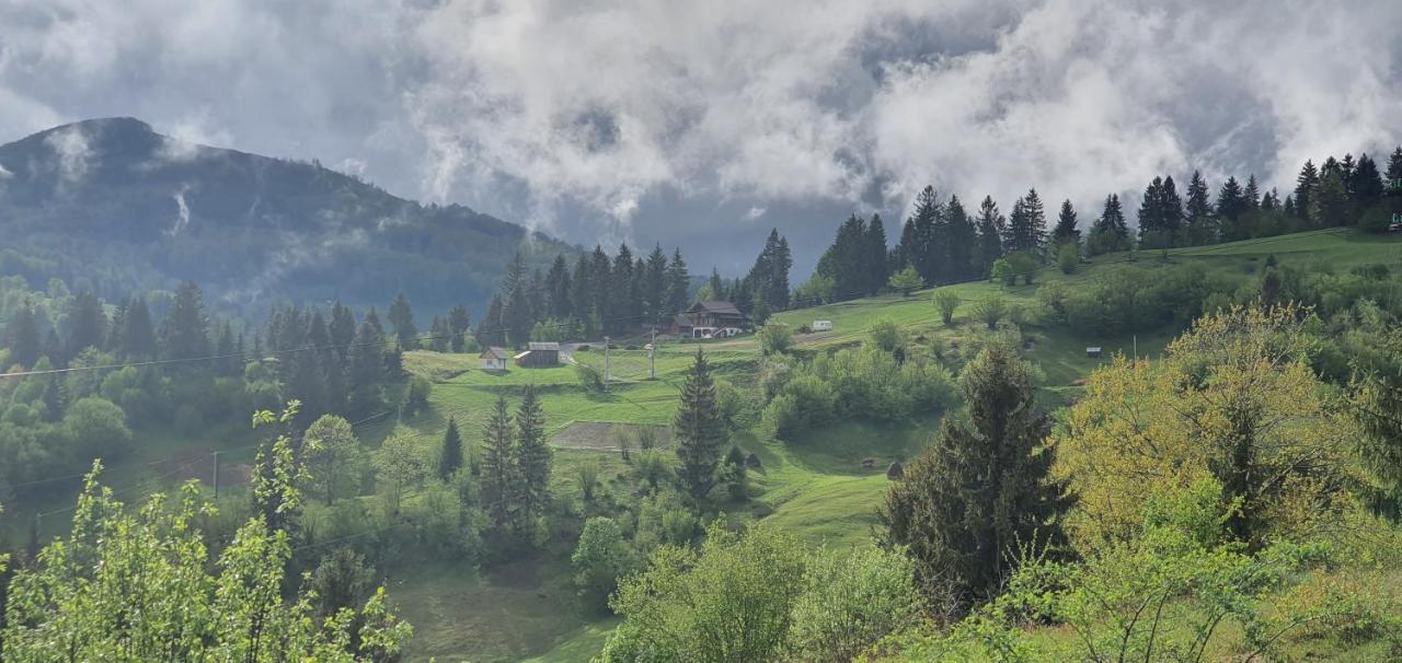 Săcel Tulean Cabin المظهر الخارجي الصورة