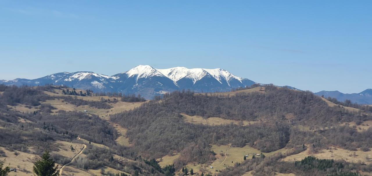 Săcel Tulean Cabin المظهر الخارجي الصورة
