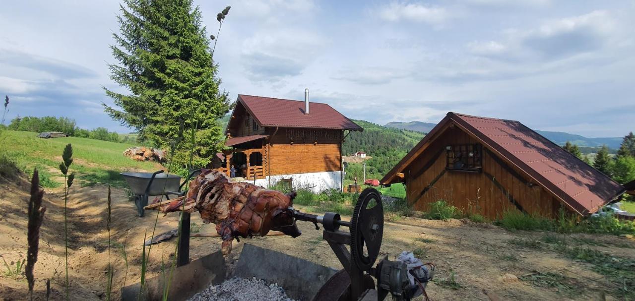 Săcel Tulean Cabin المظهر الخارجي الصورة